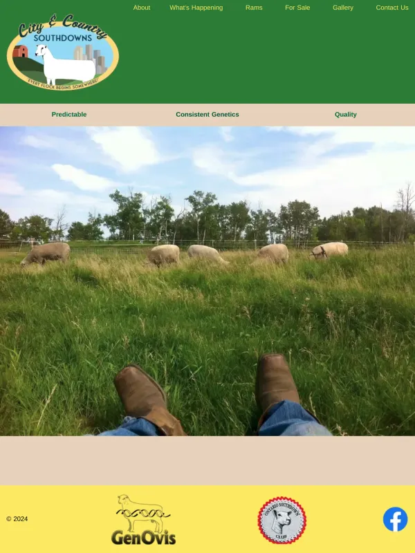 Website for City & Country Southdowns featuring modern design