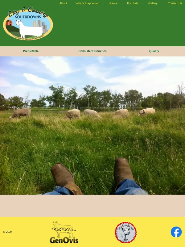 Website for City & Country Southdowns featuring modern design